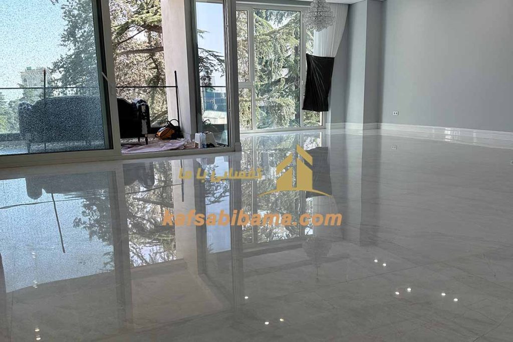 خدمات کفسابی و نماشویی در تهران