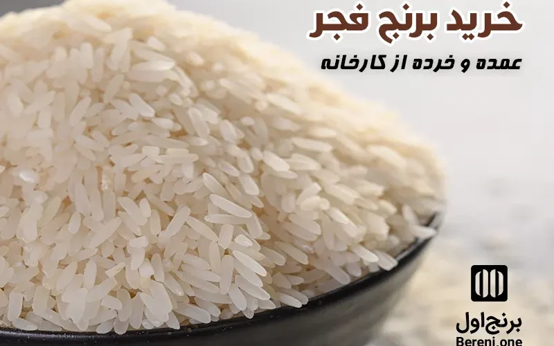 خرید برنج فجر