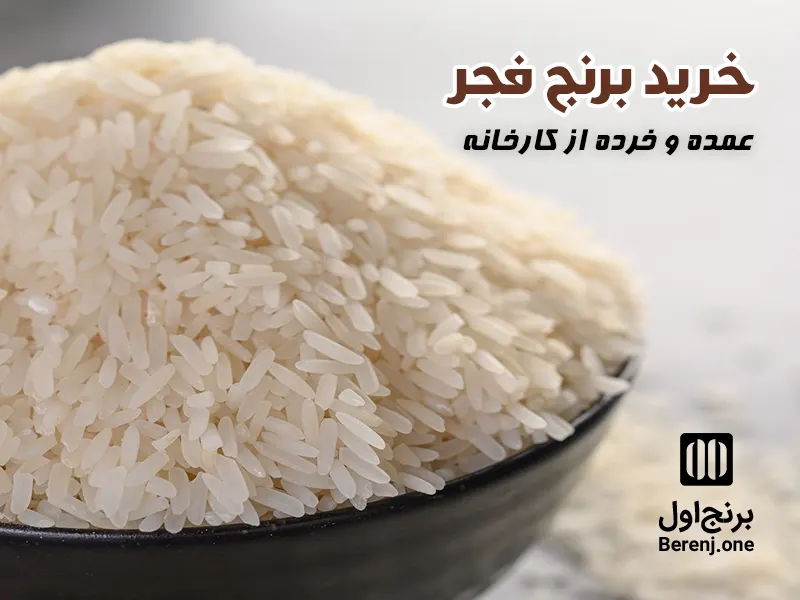 خرید برنج فجر