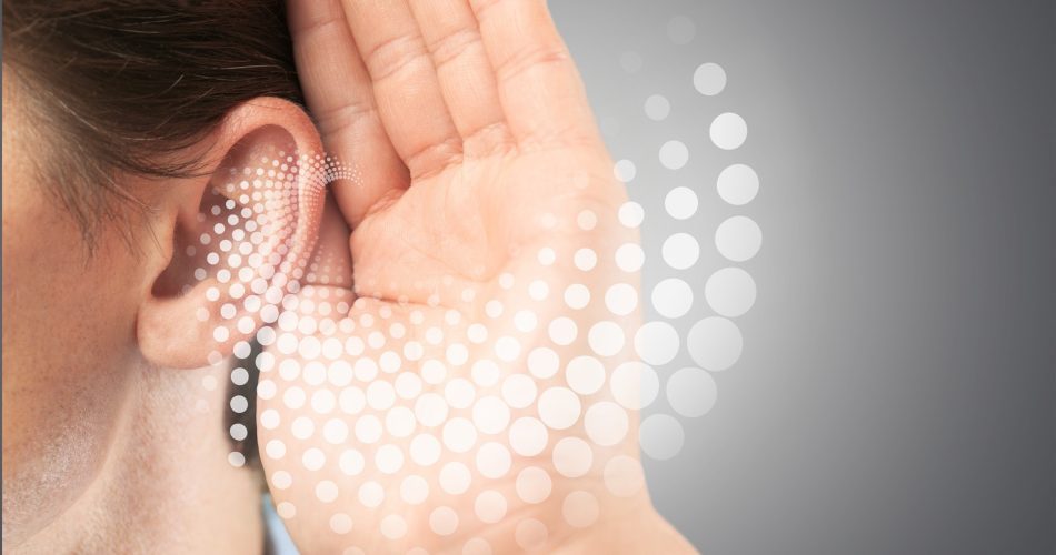 نحوه کارکرد گوش انسان