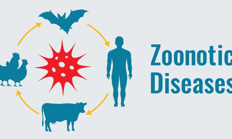 بیماری‌های مشترک انسان و حیوان