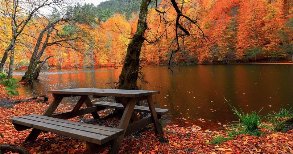 تفریحات پاییزی