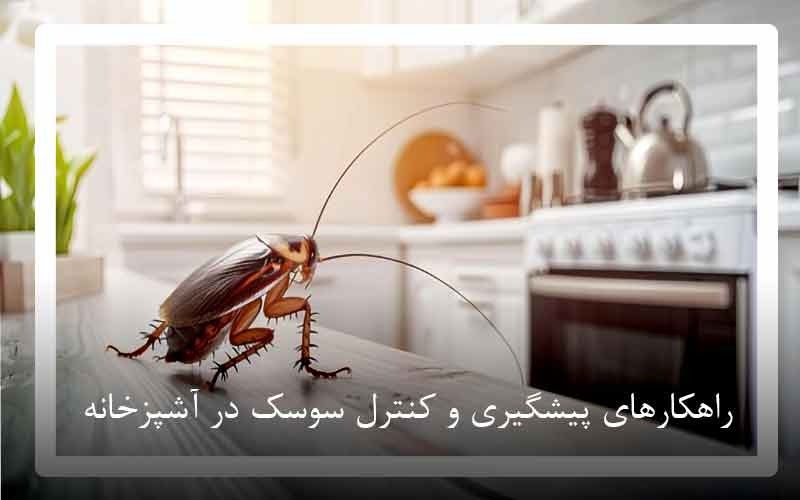 راهکارهای پیشگیری و کنترل سوسک در آشپزخانه