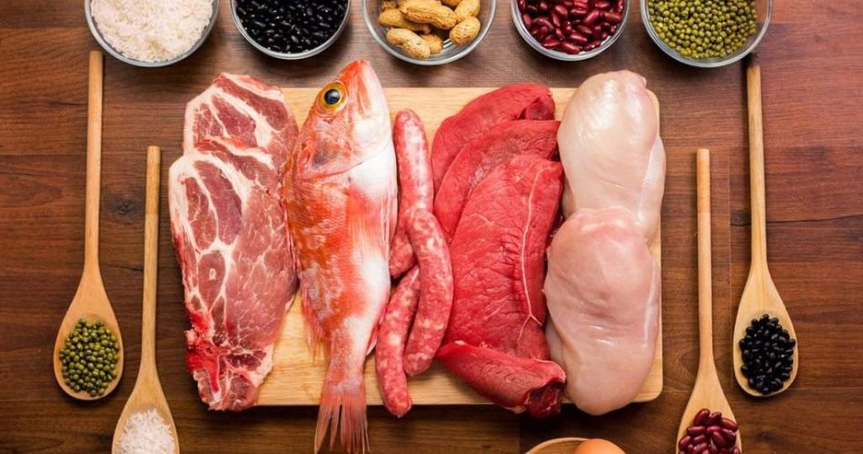 نگهداری صحیح مواد پروتئینی در خانه