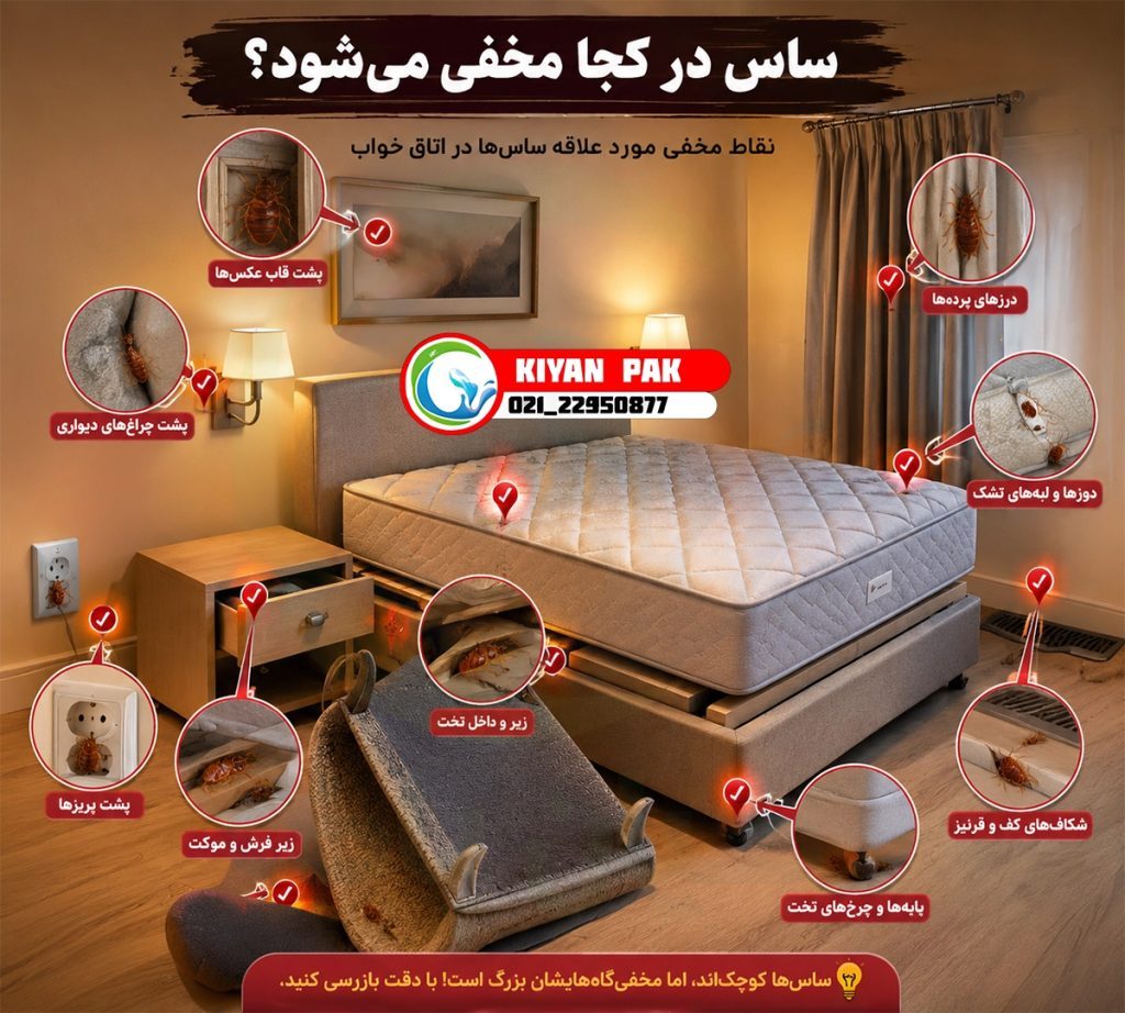 نشانه هایی که نشان میدهد هنوز ساس در خانه وجود دارد