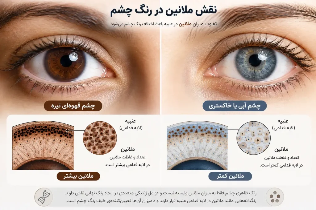 بیشترین رنگ چشم در ایران چیست؟