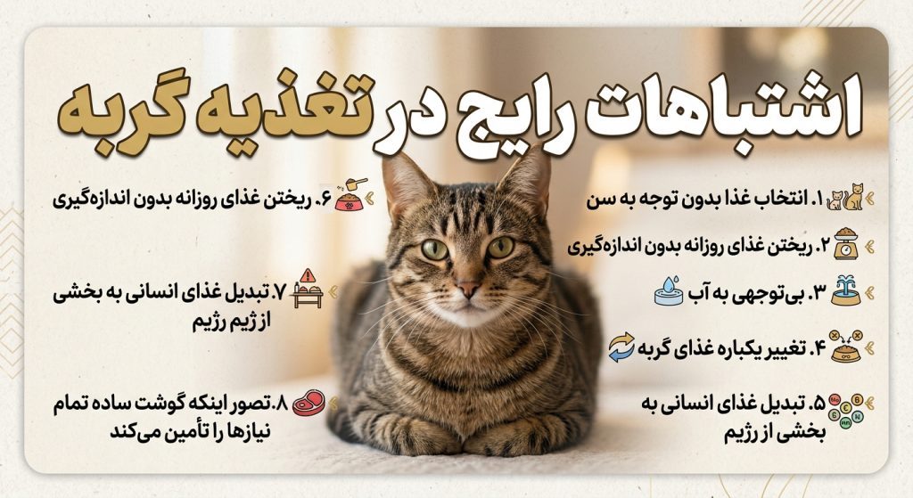 اشتباهات رایج غذای گربه