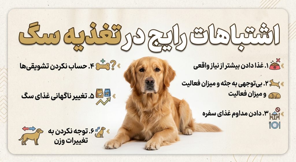 اشتباه رایج غذای سگ